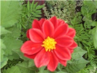 312f8710-Picture 018.jpg